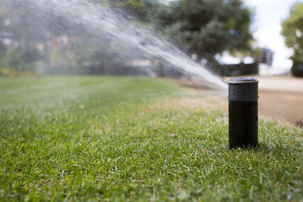 Irrigation Repair in Spring Hill  