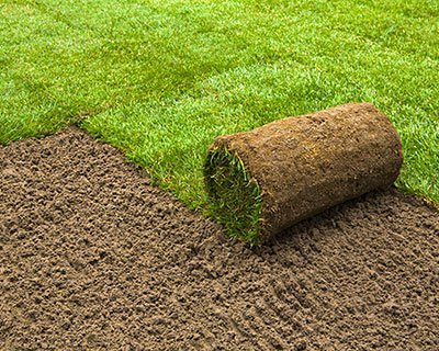 Sod Installation in Thompson's Station 